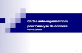 Cartes auto-organisatrices  pour l’analyse de données Vincent Lemaire