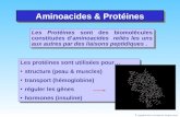 Aminoacides & Protéines