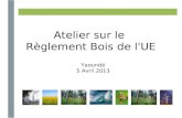Atelier sur le  Règlement Bois de l'UE