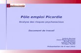Pôle emploi Picardie Analyse des risques psychosociaux Document de travail