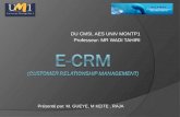 E-CRM ( customer relationship  management)