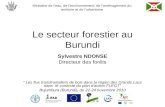Le secteur forestier au Burundi
