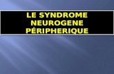 Le syndrome  neurogene péripherique