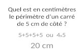 Quel est en centimètres le périmètre d’un carré de 5 cm de côté ?