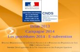 Bilan 2013 Campagne 2014 Les procédures 2014 : E-subvention