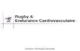 Rugby &  Endurance Cardiovasculaire