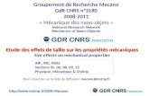 Groupement de Recherche Mecano GdR CNRS n°3180 2008-2011 « Mécanique des nano-objets »
