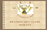 REUNION DES CLUBS AGILITY