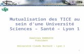 Mutualisation des TICE au sein d’une Université Sciences – Santé – Lyon 1