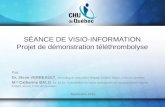 SÉANCE DE VISIO-INFORMATION Projet de démonstration téléthrombolyse