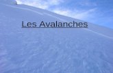 Les Avalanches
