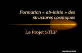 Formation « ab-initio » des structures cosmiques