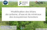 Modélisation des bilans  de carbone, d’eau et de minéraux  des écosystèmes forestiers