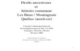 Droits ancestraux  et  histoire commune Les Ilnus / Montagnais Québec (nord-est)
