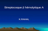 Streptocoque    hémolytique A K.RAHAL