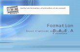 Formation B.A.F.A