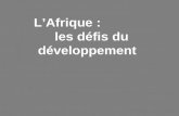 Lâ€™Afrique :              les d©fis du d©veloppement