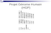 Projet Génome Humain  (HGP)