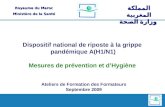 Dispositif national de riposte à la grippe pandémique A(H1/N1)  Mesures de prévention et d’Hygiène