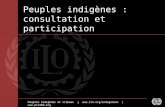Peuples indigènes : consultation et participation
