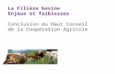 La Filière bovine Enjeux et faiblesses Conclusion du Haut Conseil de la Coopération Agricole