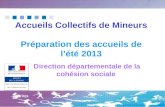 Accueils Collectifs de Mineurs Préparation des accueils de l’été 2013