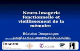 Neuro-imagerie fonctionnelle et vieillissement de la mémoire  Béatrice Desgranges