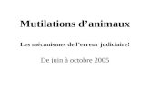 Mutilations d’animaux Les mécanismes de l’erreur judiciaire!