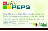 Comités Techniques «  Documentation/ Communication  »  Antenne de L’IREPS – Grand Camp Les Abymes