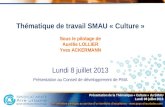 Thématique de travail SMAU « Culture » Sous le pilotage de Aurélie LOLLIER Yves ACKERMANN