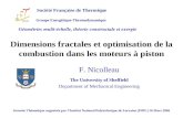 Dimensions fractales et optimisation de la combustion dans les moteurs à piston