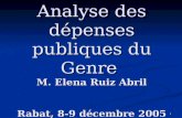 Analyse des dépenses publiques du Genre  M. Elena Ruiz Abril Rabat, 8-9 décembre 2005