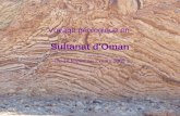 Voyage géologique en  Sultanat d'Oman Du 19 février au 2 mars 2009