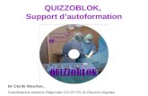 QUIZZOBLOK,  Support d’autoformation