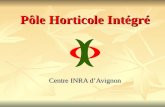 Pôle Horticole Intégré