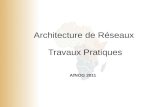 Architecture de Réseaux  Travaux Pratiques