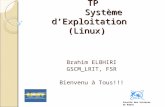 TP     Système d’Exploitation (Linux)