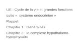 UE : Cycle de la vie et grandes fonctions suite «  système endocrinien » Rappel: