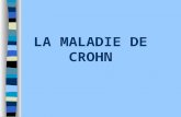 LA MALADIE DE CROHN