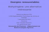 Energies renouvelables Biohydrogène: une alternative intéressante