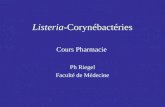 Listeria -Corynébactéries