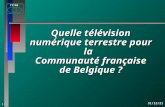 Quelle télévision numérique terrestre pour la   Communauté française de Belgique ?