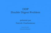 DDP Double Digest Problem