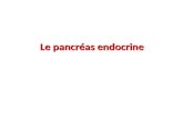 Le pancréas endocrine