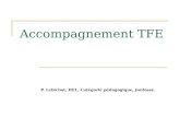 Accompagnement TFE