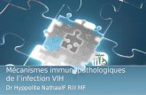 Mécanismes immunopathologiques de l’infection VIH