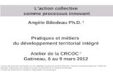 L’action collective  comme processus innovant