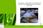 Formation : Méthodes d’inventaire et de suivi des populations de Cistude d’Europe