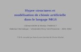 Hyper-structures et  modélisation de chimie artificielle  dans le langage MGS