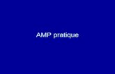 AMP pratique